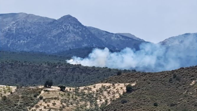 Estabilizado un incendio forestal declarado pasado el mediodía en Jayena