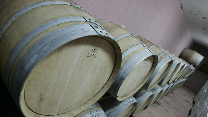 Los mejores vinos de Granada en esta ruta por las mejores bodegas