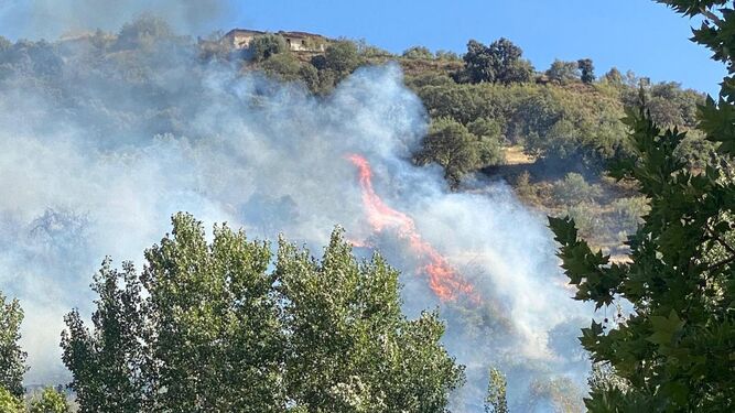 Imagen del incendio forestal declarado en Pinos Genil el pasado fin de semana