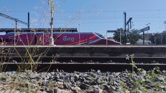 Un tren AVLO en Granada haciendo "trabajos logísticos"