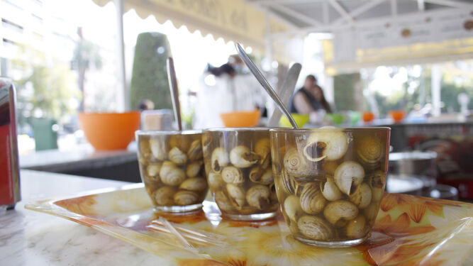 Degusta los mejores caracoles en estos bares de Granada