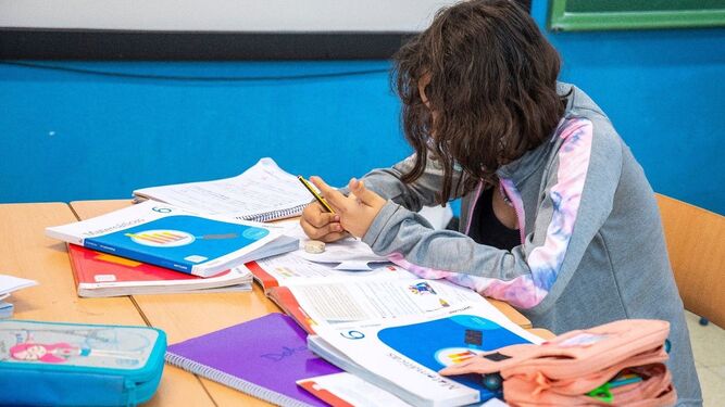 Medio millón de escolares andaluces estrenarán libros el próximo curso.