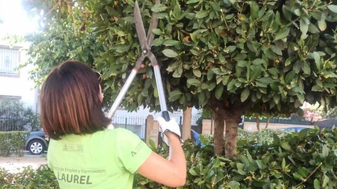 La Zubia contrata a 12 vecinos desempleados mayores de 45 años para labores de jardinería
