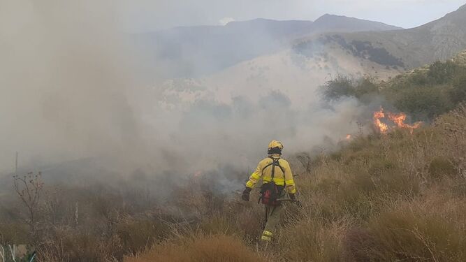 Imagen de las labores de extinción del incendio declarado en Güéjar Sierra este viernes
