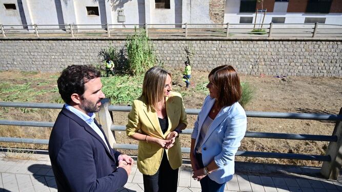 La alcaldesa, Marifrán Carazo, ha visitado este martes los trabajos.