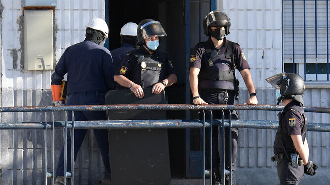 La Policía Nacional, y técnicos de Endesa, entran a un inmueble donde se cultiva droga.