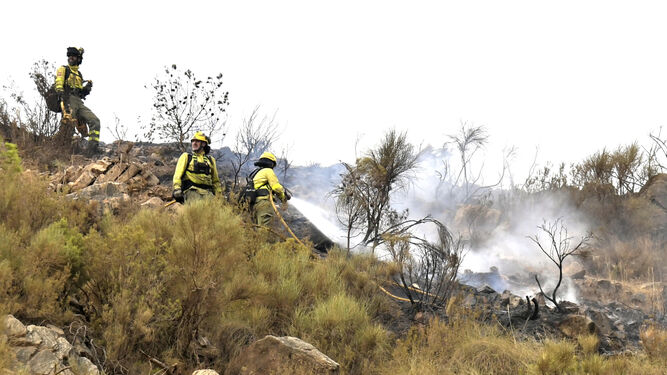 Operarios del Infoca extinguen los últimos focos del incendio de Los Guajáres.