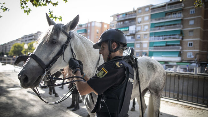 Así es el dispositivo de seguridad de la Policía Nacional en Granada para las cumbres europeas