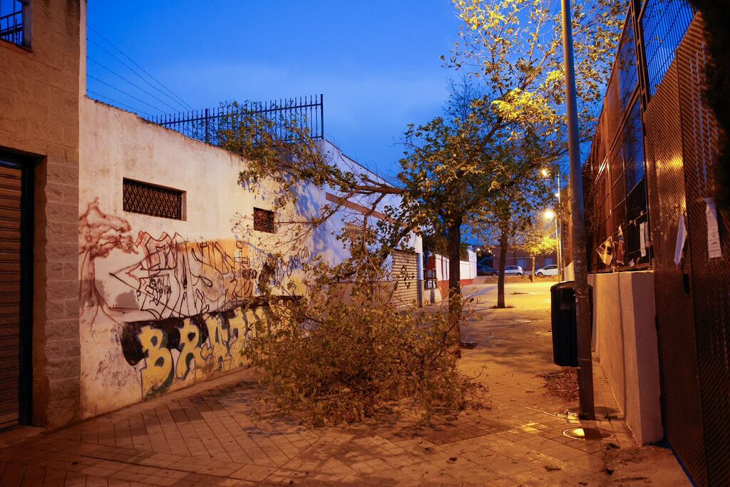 Fotos: as&iacute; est&aacute; siendo el fuerte viento de la borrasca Bernard en Granada