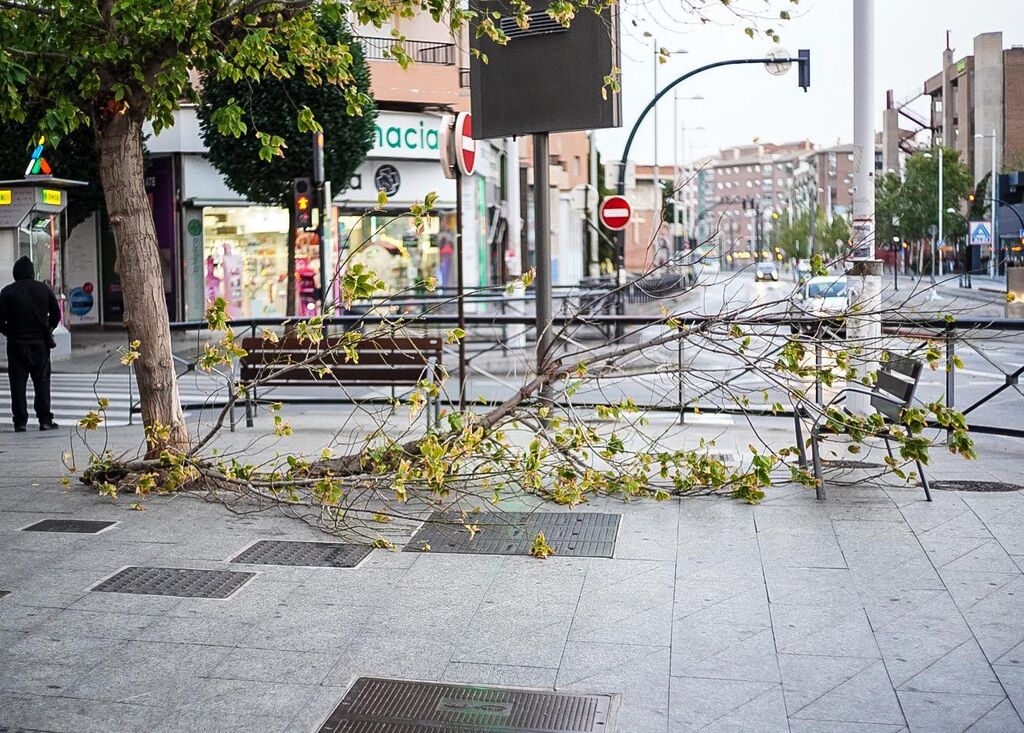 Fotos: as&iacute; est&aacute; siendo el fuerte viento de la borrasca Bernard en Granada