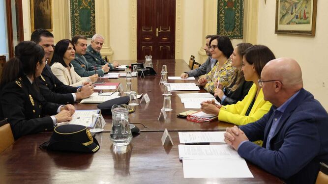 Imagen de la reunión coordinadora celebrada este miércoles en la Subdelegación del Gobierno de Granada