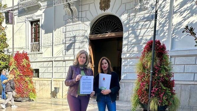 Vox presenta una declaración institucional  al Pleno del Ayuntamiento de Granada  para rechazar la amnistía