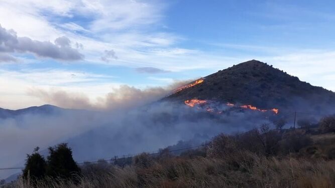 Incendio  forestal  en Juviles, provincia de Granada