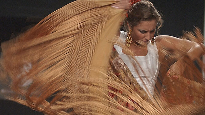 Todas las actividades para celebrar en Granada el Día del Flamenco.
