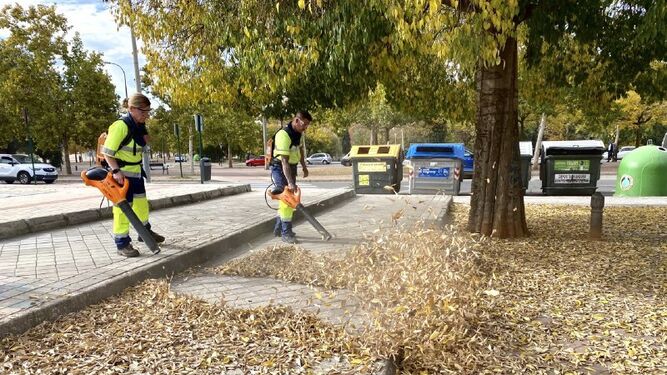 Inagra prosigue con la campaña de recogida de hoja en medio millar de calles de Granada