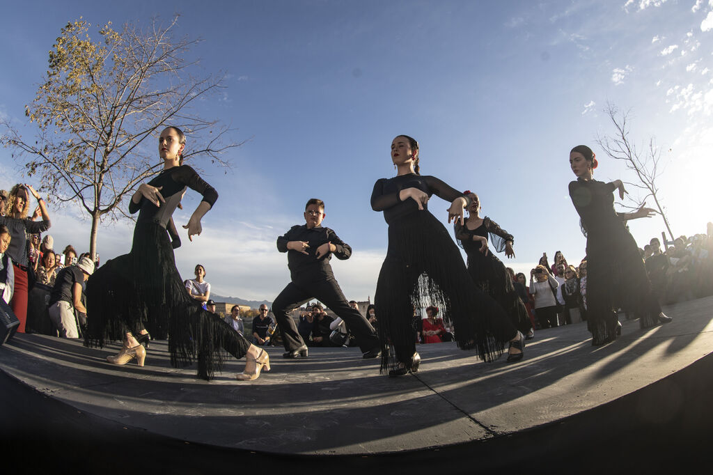 Granada celebra el D&iacute;a del Flamenco, en im&aacute;genes