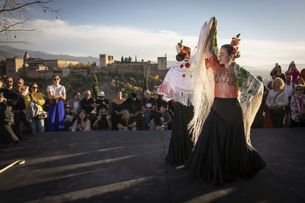 Granada celebra el D&iacute;a del Flamenco, en im&aacute;genes