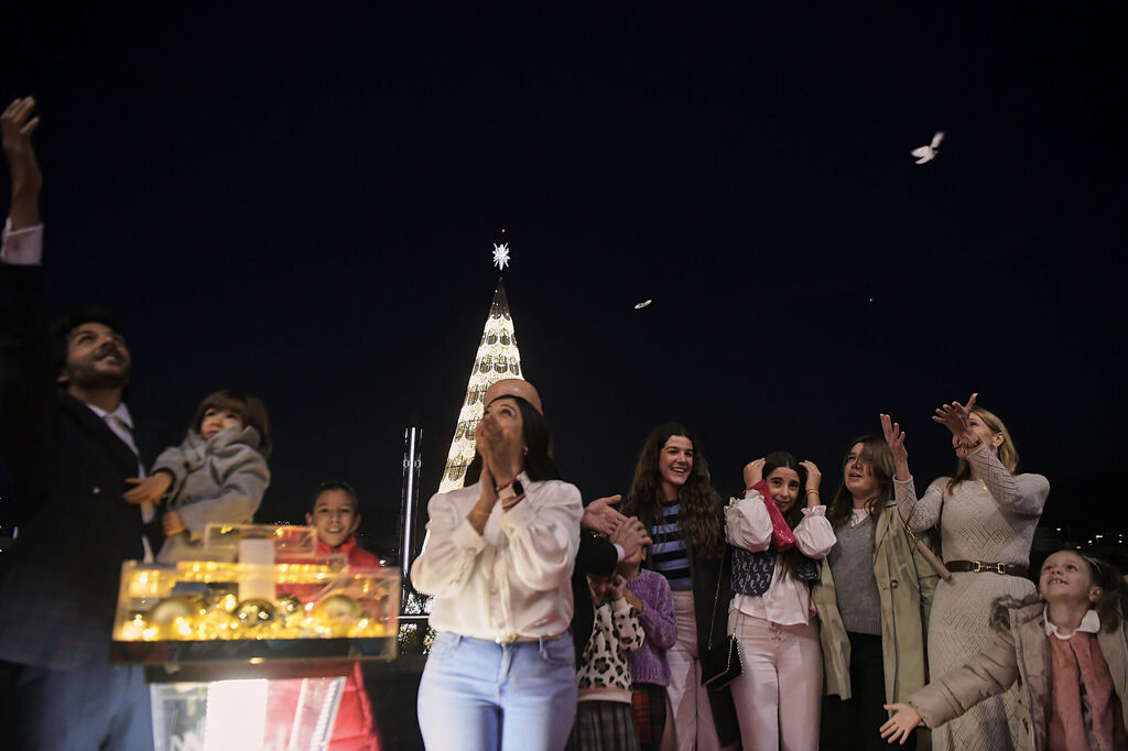 Fotos: as&iacute; se ha iluminado el &aacute;rbol de Navidad del Nevada en Granada, el m&aacute;s alto de Espa&ntilde;a