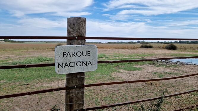 El Gobierno andaluz espera "dar carpetazo lo antes posible" a la negociación sobre Doñana