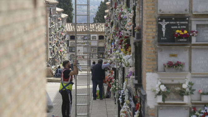 Imagen del cementerio de Granada este mes de noviembre por el Día de Todos los Santos.