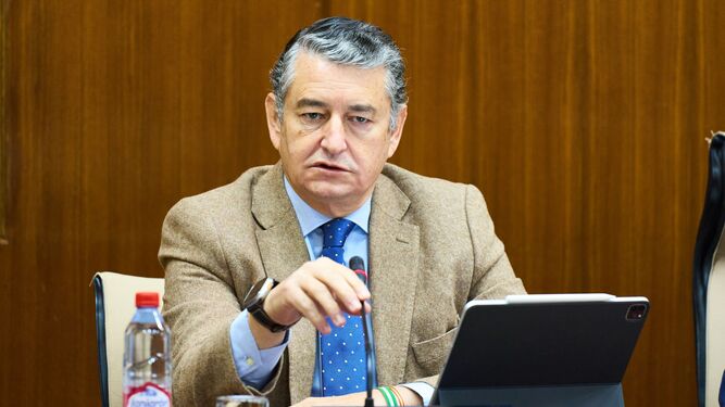 Antonio Sanz durante su comparecencia en la comisión del Parlamento de Andalucía.