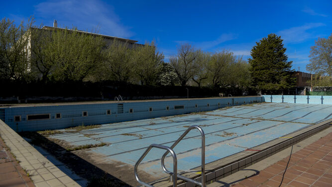 Imagen del estado en el que está la piscina en la actualidad