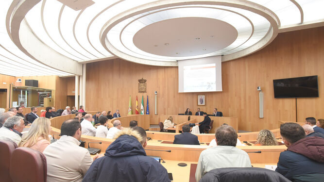 Reunión de los alcaldes con la Diputación de Granada