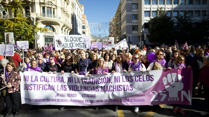 Imagen de la cabecera de la manifestación del 25N en Granada