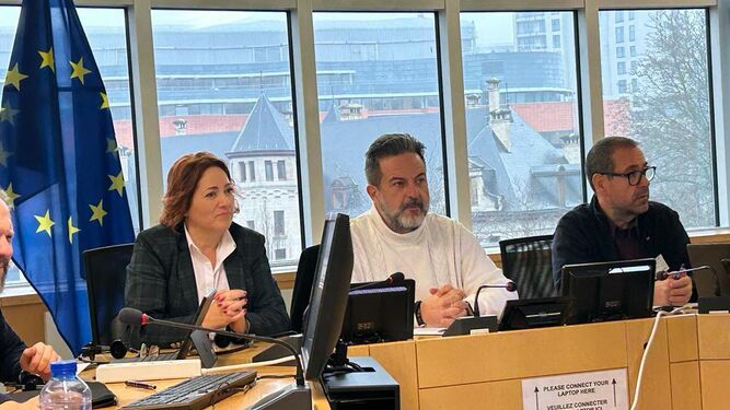 Momento de la reunión entre IU y las plataformas ecologistas en el Parlamento Europeo