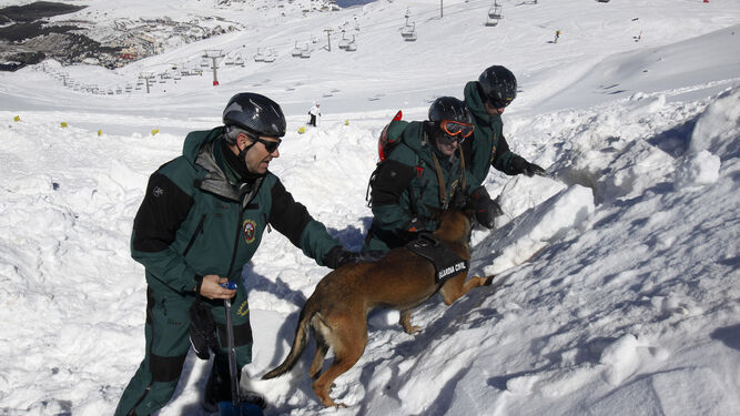 Imagen de archivo de un rescate de la Guardia Civil en Sierra Nevada