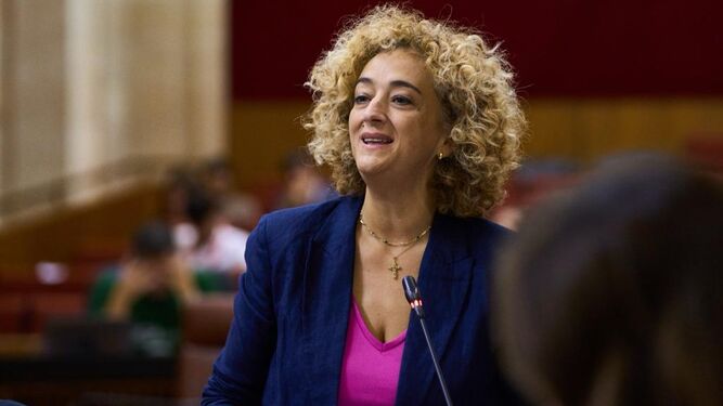 La parlamentaria andaluza del PP Rosa Fuentes