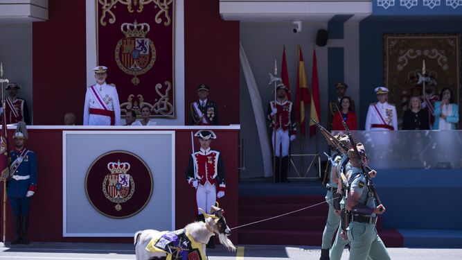 Un grupo de legionarios desfila ante el Rey el pasado Día de las Fuerzas Armadas en Granada.