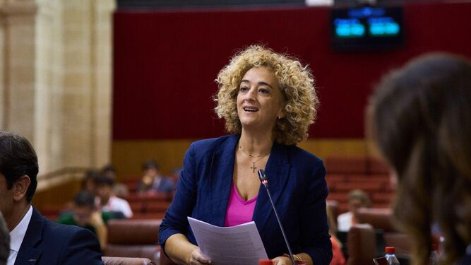 La parlamentaria del PP, Rosa Fuentes