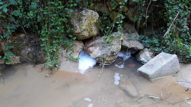 Agua con espuma en el manantial de La Atajea el pasado viernes