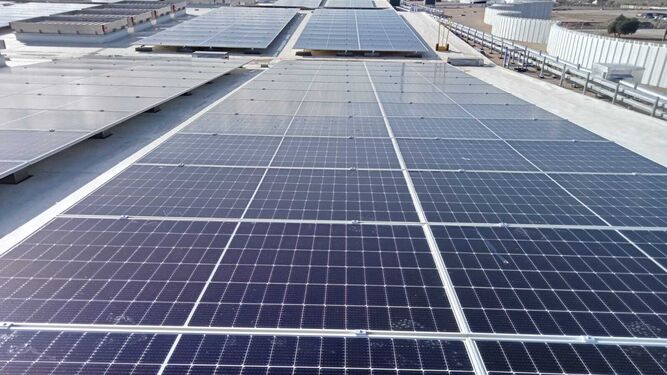 Endesa construye dos plantas fotovoltaicas de autoconsumo para Mayoral