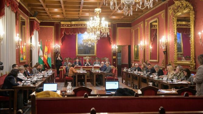 Pleno mensual de enero del Ayuntamiento de Granada.