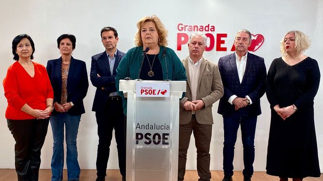 El grupo socialista en la Diputación de Granada
