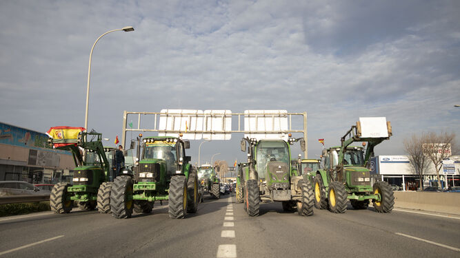 Los tractores cortaron el tráfico en varios puntos de la provincia de Granada.