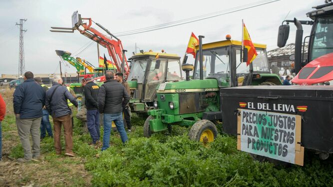Agricultores y ganaderos manifestándose con sus tractores en las recientes tractoradas