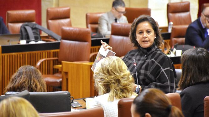 Catalina García en el Parlamento Andaluz