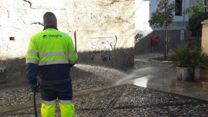 Plan especial de limpieza en Granada contra las manchas y el mal olor de los excrementos de aves