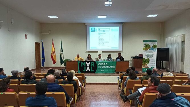 Asamblea de la Agrupación Marjal Chopo de Granada