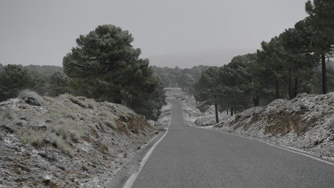 Carretera de Padul (Granada) amanece nevada el sábado 24 de febrero