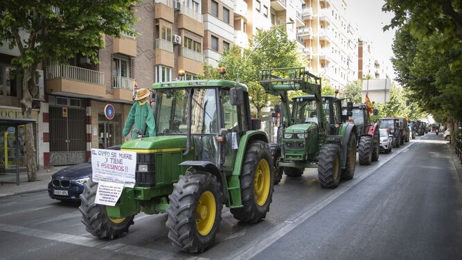 Imagen de archivo de una tractorada circulando por el centro de Granada