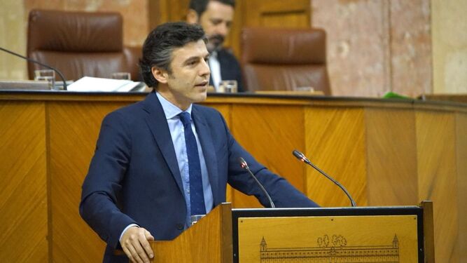 Diputado del PP por Granada y portavoz parlamentario, Jorge  Saavedra