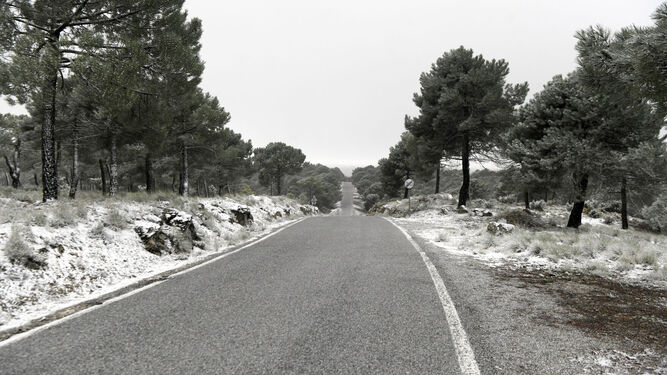 Nieve  en la carretera  de la cabra el 24 de Febrero de 2024 en Granada