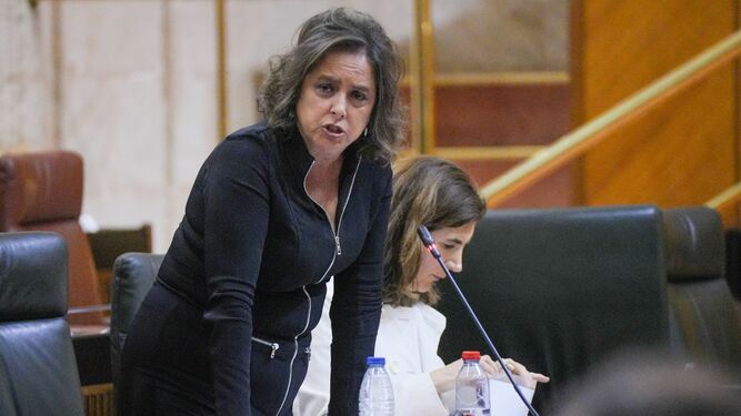 La consejera de Salud, Catalina García, en una intervención parlamentaria en el Pleno.