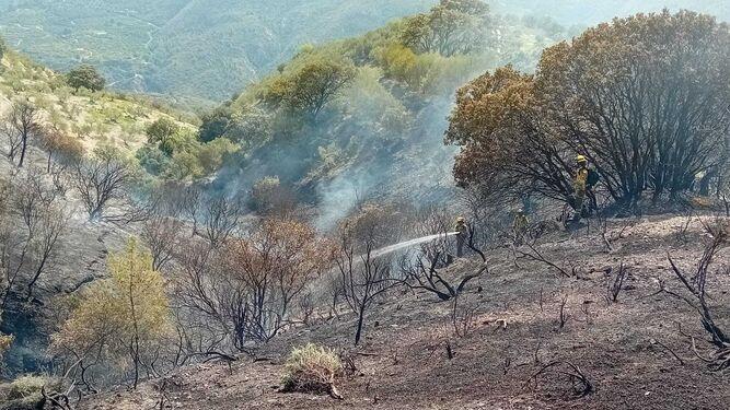 Incendio forestal en la costa de Granada: controlado el fuego en el paraje de Río Verde