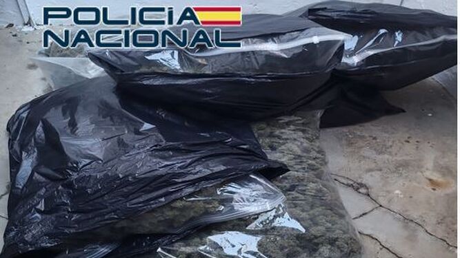 Imagen de una de las incautaciones de marihuana realizadas por la Policía Nacional