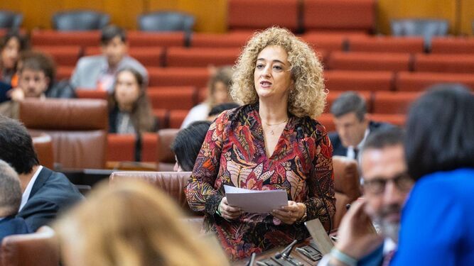 La parlamentaria andaluza Rosa Fuentes